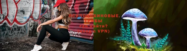 а пвп мука Армянск